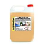 BICOMPONENT LACQUER REMOVER CONCENTRATE: 5, 12 AND 25 K.