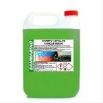 BRUSHES SHAMPOO CONCENTRATE: 5, 12 AND 25 L.