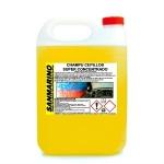 BRUSHES SHAMPOO SUPER CONCENTRATE: 5, 12 AND 25 L.