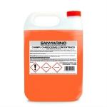 CAR BODY SHAMPOO CONCENTRATE: 5, 12, AND 25 L.